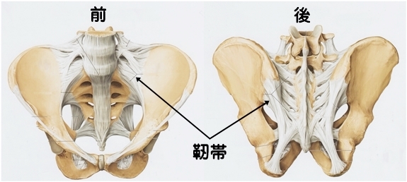 中京区西院骨盤のゆがみ歪みズレ